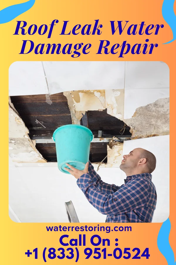 Roof Leak Water Damage Repair in Mount Vernon, GA